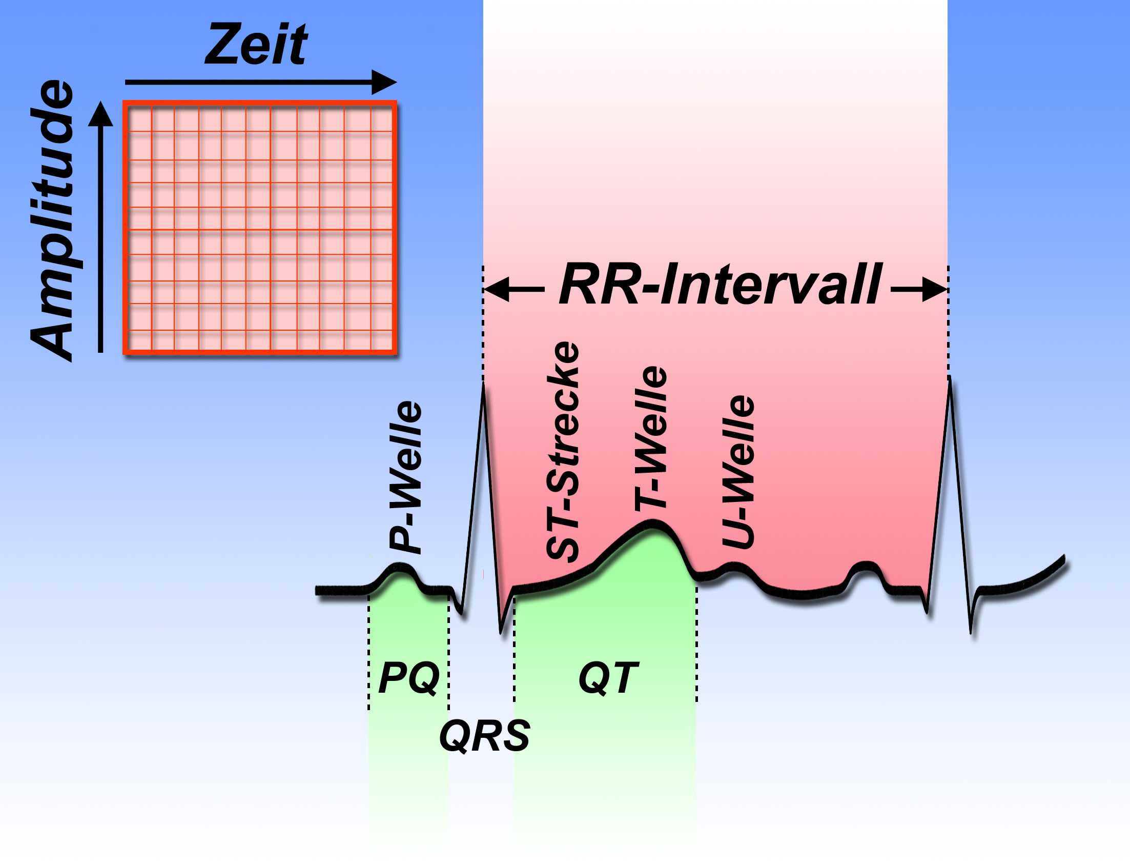 EKG-Prinzip